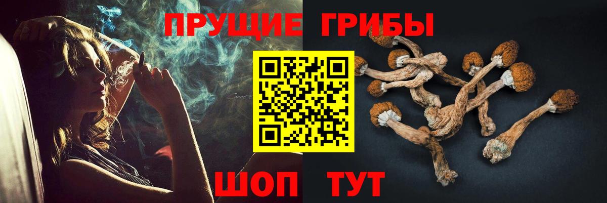 Майкоп  Галлюциногенные грибы мухоморы  где продают   Вход с VPN  Псилоцибиновые грибы мухоморы 